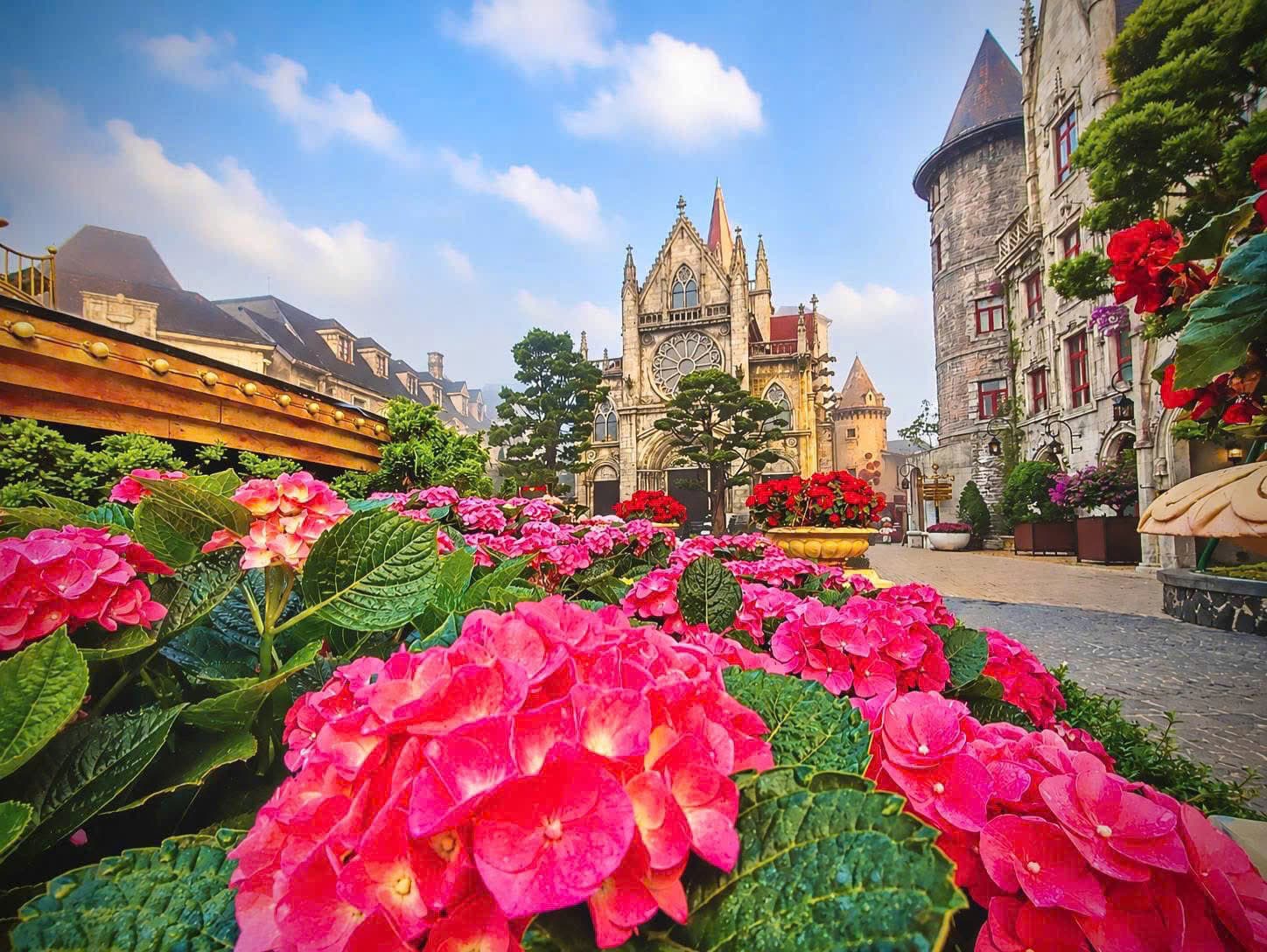 Hydrangeas beneath the spires