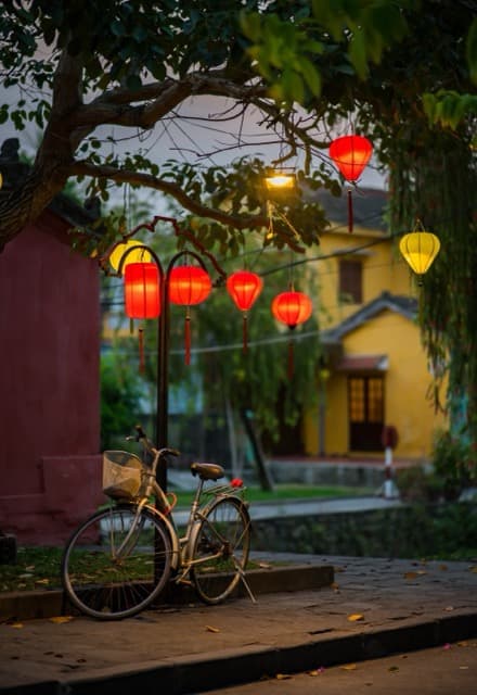 Day 6: Hoi An – Full Day Hoi An City Tour