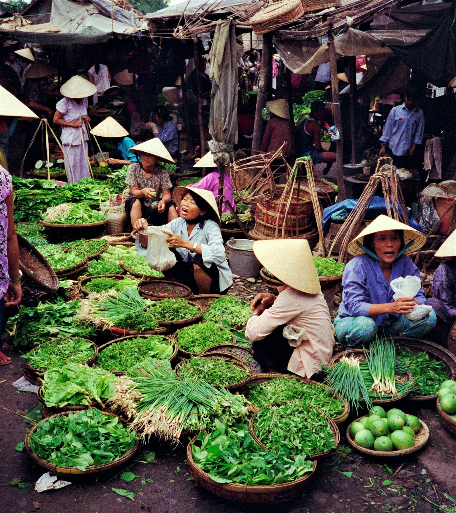 Vendors in conical hats sell baskets of fresh greens and herbs at a bustling wet market